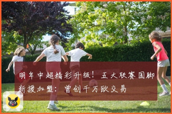 明年中超精彩升级！五大联赛国脚新援加盟：曾创千万欧交易